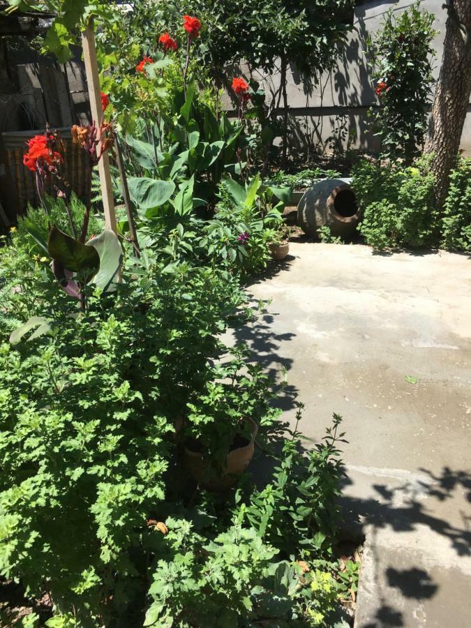 Green House 第比利斯 外观 照片